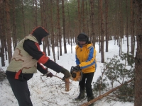 Parkmetsa korrastamine Nõmmel 26.02.2011